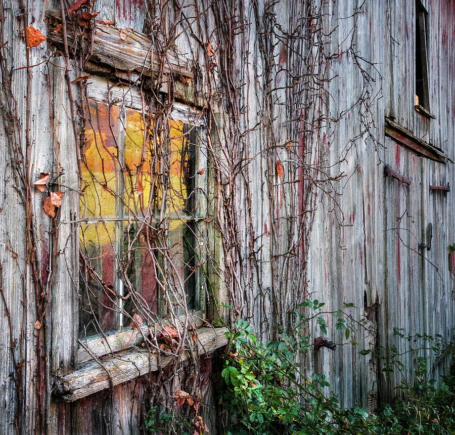 Reflecting Upon Autumn - Vintage New England Barn Details Photograph by Photos by Thom