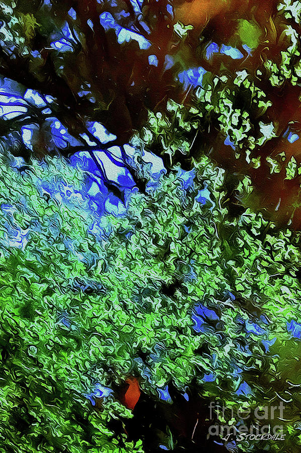 Reflection 3 Digital Art by Stocksom Art Prints Reflection 3 Digital Art by Stocksom Art Prints