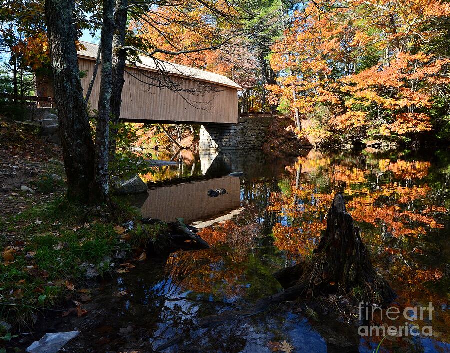 Reflection at the Baab Covered Bridge Photograph by Steve Brown