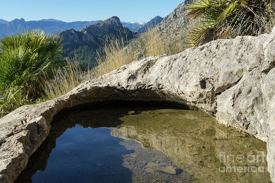 Water hole in the mountains Photograph by Adriana Mueller
