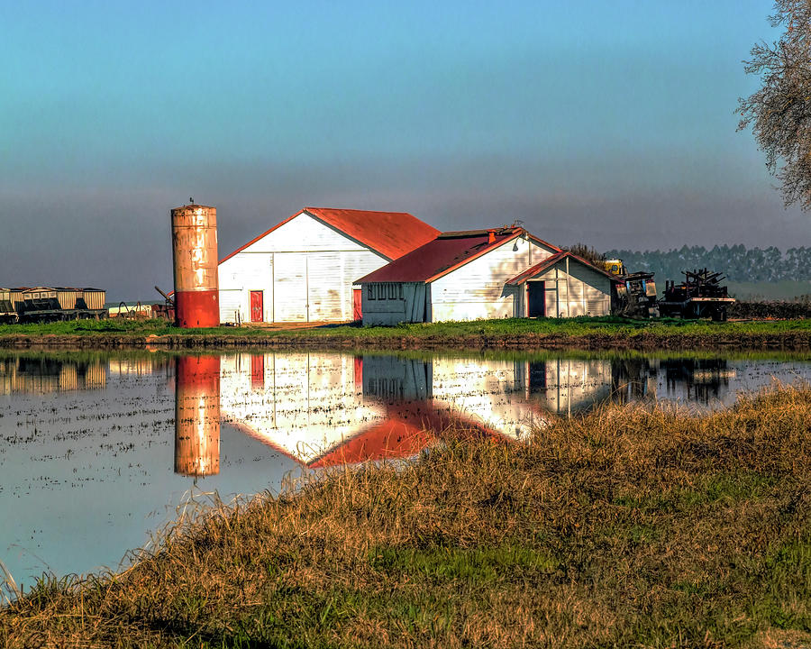 Reflection Barn  Photograph by William Havle