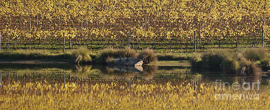 Nature Photograph - Reflection Country Victoria  by Joy Watson