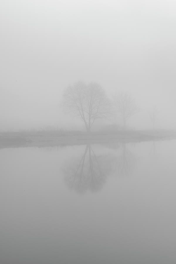 Reflection From A Foggy Morning Photograph by Kevin Brisolara - Fine ...