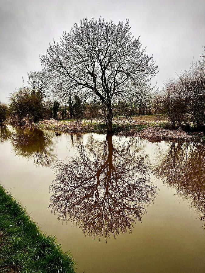 Reflection  Photograph by Gordon James