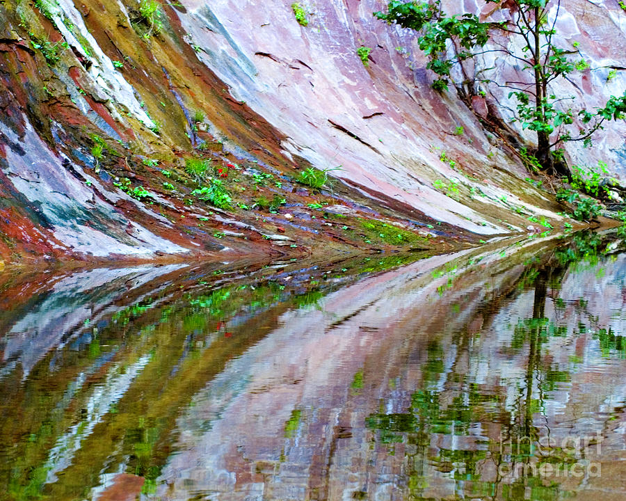 Reflection Photograph - Reflection by Mae Wertz Reflection Photograph - Reflection by Mae Wertz