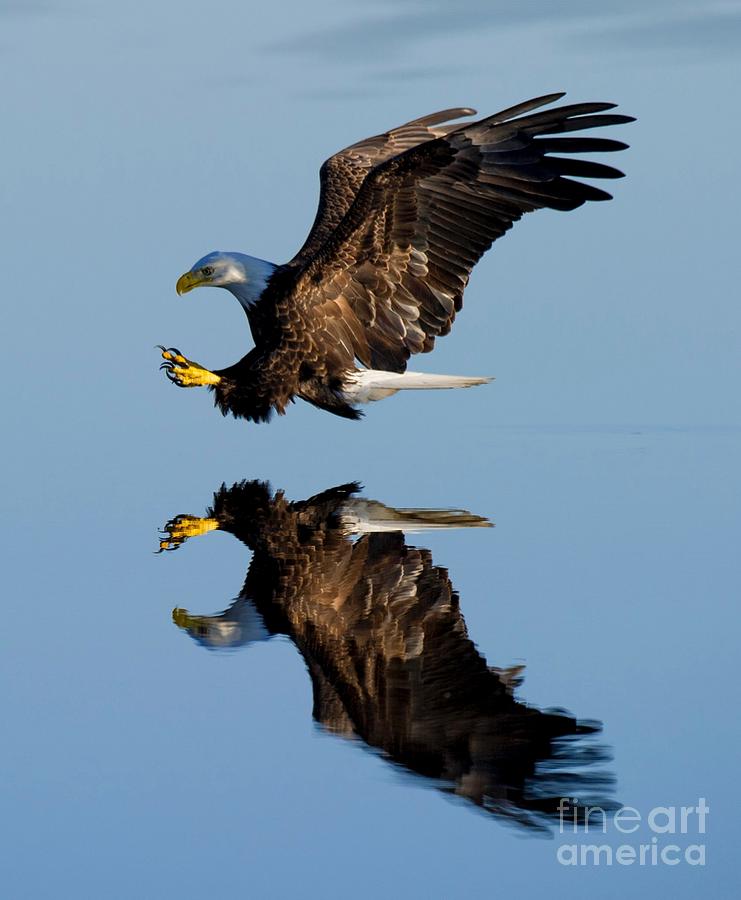 Reflection by Michael Graham Reflection by Michael Graham
