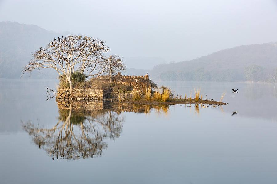 Reflection of a Ruin in Padam Talao (Lake) Photograph by Jeremy Woodhouse