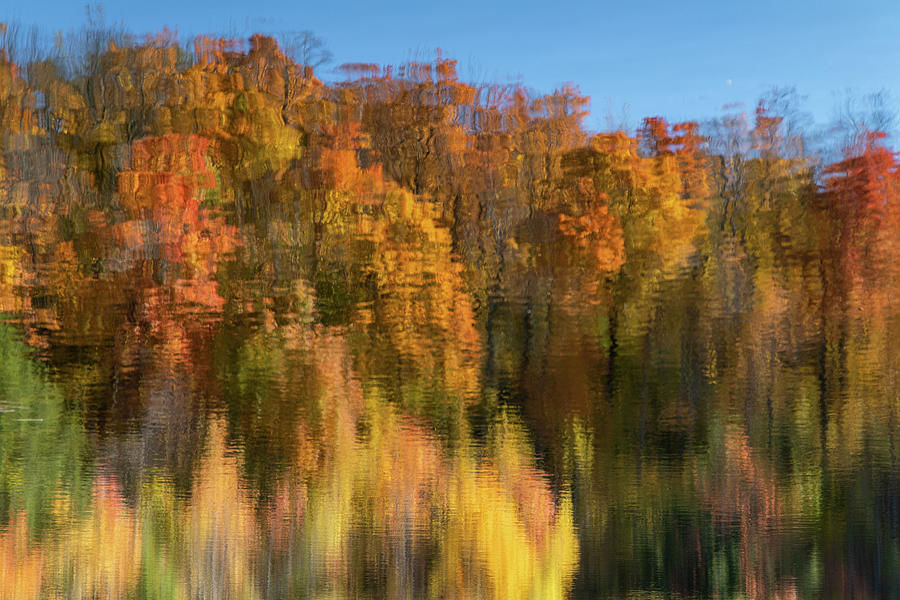Reflection of Autumn Bear Swamp Ashfield MA Photograph by Michael Saunders