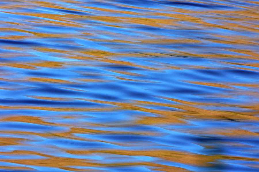 Reflection of Blue and Gold Photograph by Sue Cullumber