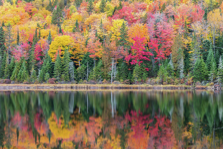 Reflection of Fall Colors Photograph by Pierre Leclerc Photography