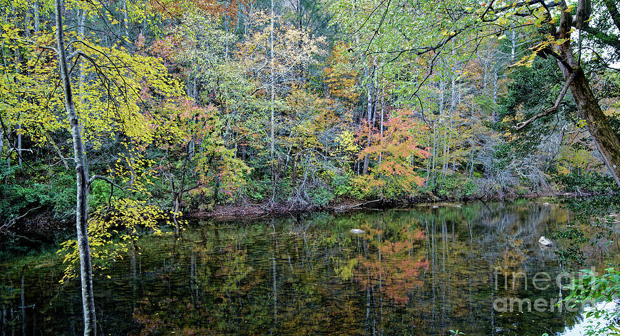 Reflection of Fall Photograph by Paul Mashburn