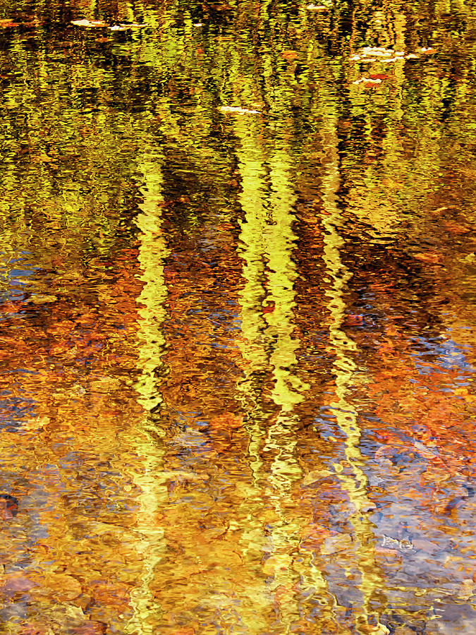 Reflection of Fall Trees Photograph by Charles Floyd