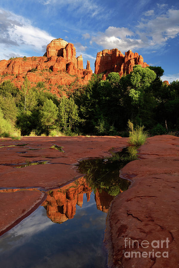 Reflection of Iconic Cathedral Rock Red Sandstone Butte in Sedona Photograph by Tom Schwabel