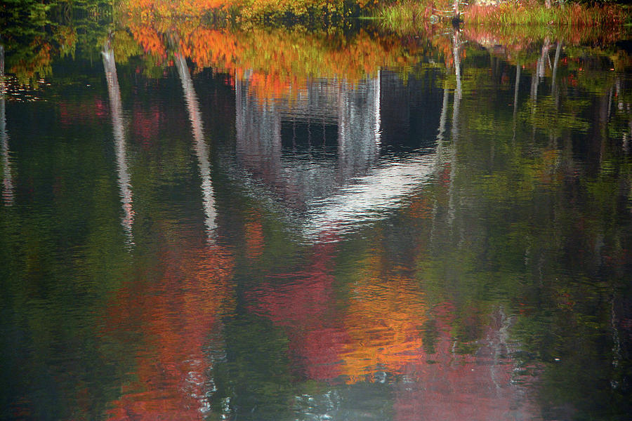 Reflection of Mount Greylocks Cabin in Pond Photograph by Raymond Salani III
