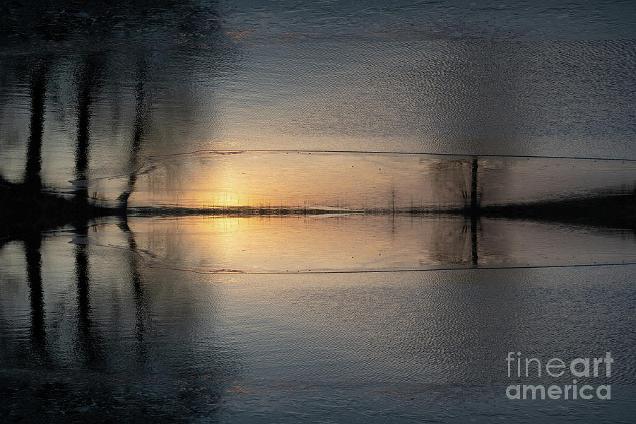 Reflection of sunlight and trees in the water 1 Digital Art by Adriana Mueller