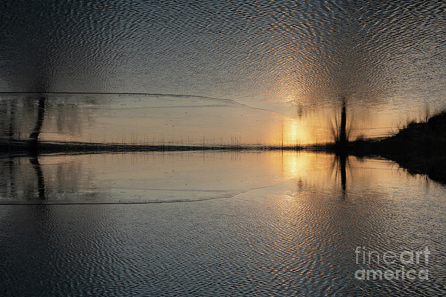 Reflection of sunlight and trees in the water 2 Digital Art by Adriana Mueller