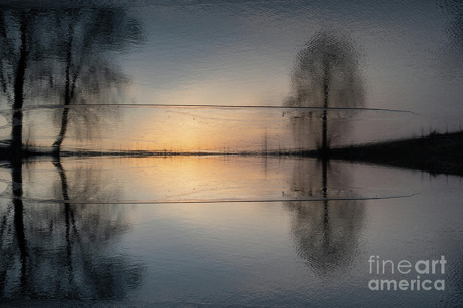 Reflection of sunlight and trees in the water 3 Digital Art by Adriana Mueller