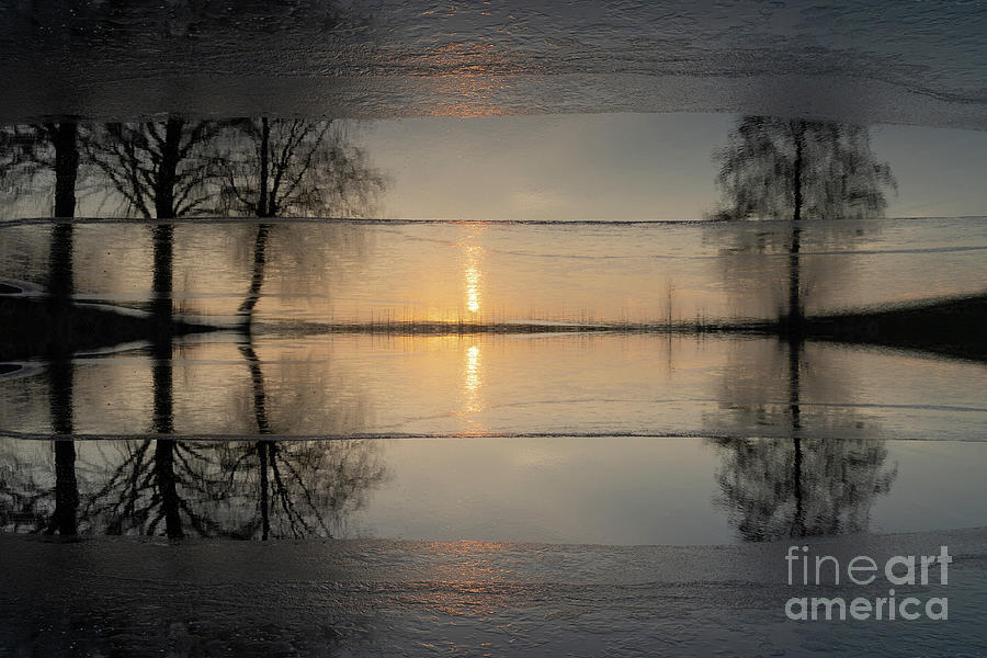 Reflection of sunlight and trees in the water 4 Digital Art by Adriana Mueller