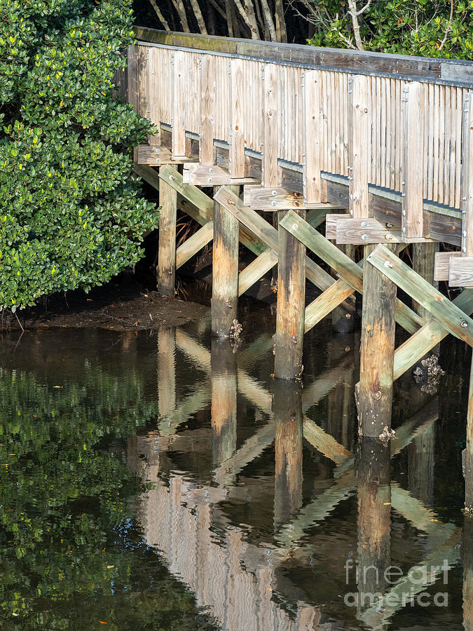 Reflection of the Boardwalk at Weedon Island Preserve Photograph by L Bosco