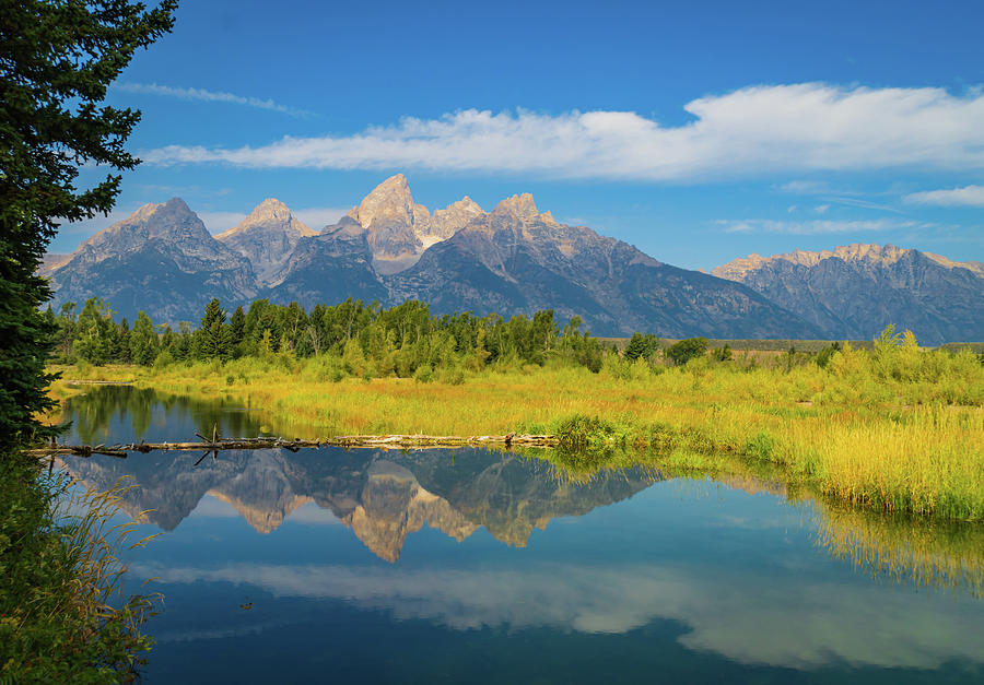 reflection of the Grand Teton Mountain Range Photograph by Ann Moore