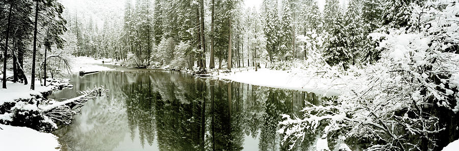 Reflection of trees in a river, Merced River, Yosemite Valley, Yosemite National Park, Mariposa Coun Photograph by Panoramic Images