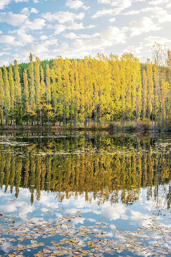 Reflection of Trees with Fall Colors in a Lake at Sunrise II Photograph by Alexios Ntounas