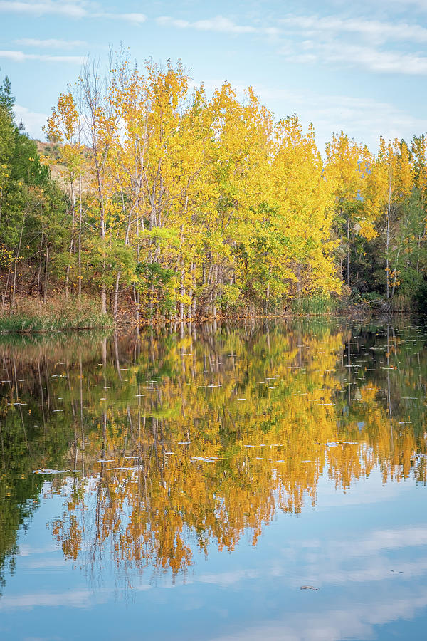Reflection of Trees with Yellow Leaves in a Lake Photograph by Alexios Ntounas