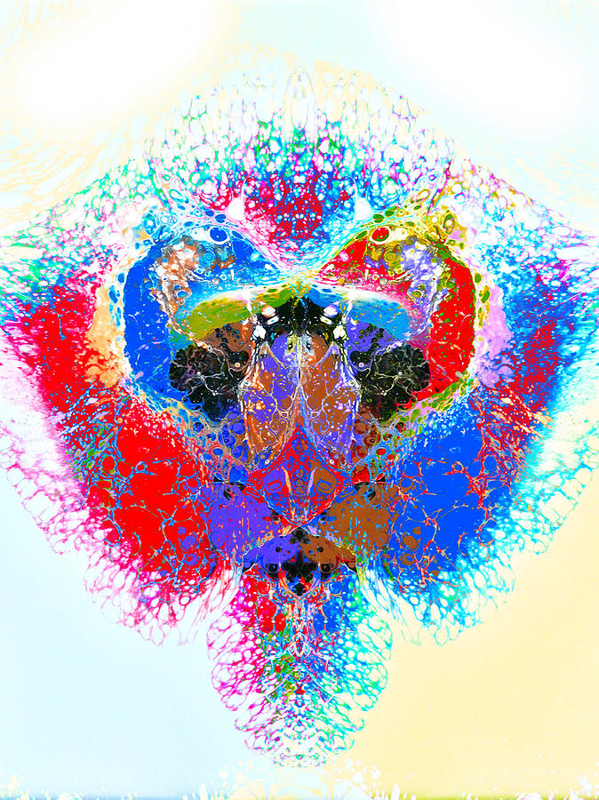 Reflection - See Yourself No 26 by Vincent Burkhead Reflection - See Yourself No 26 by Vincent Burkhead