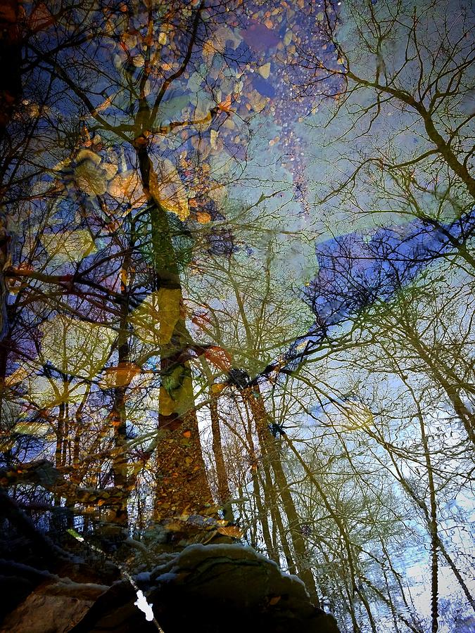 Reflections 1 Photograph by Amanda Rae