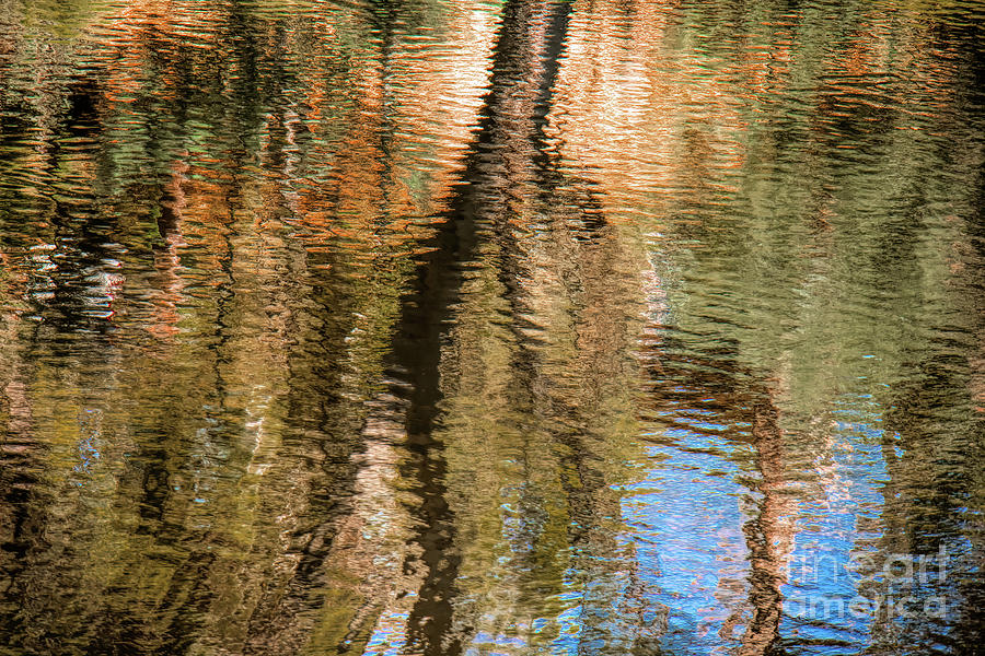 Reflections 1 Photograph by Elaine Teague