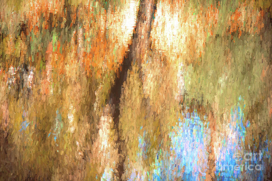 Abstract Photograph - Reflections 2 by Elaine Teague