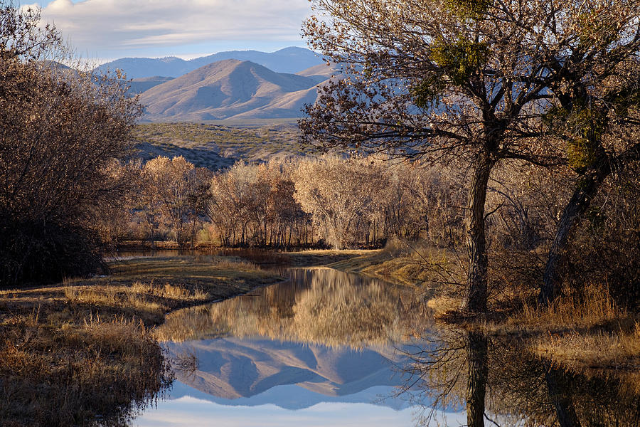 Reflections at Bosque del Apache Photograph by Mary Lee Dereske