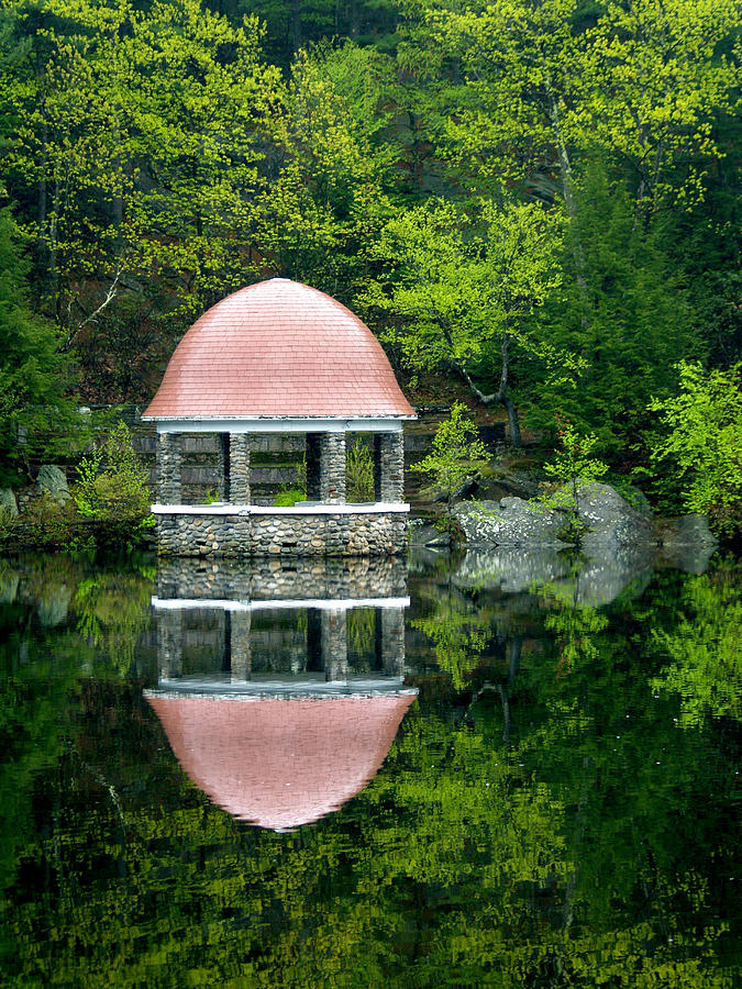 Reflections at Coggshall Park Photograph by Lisa Cuipa