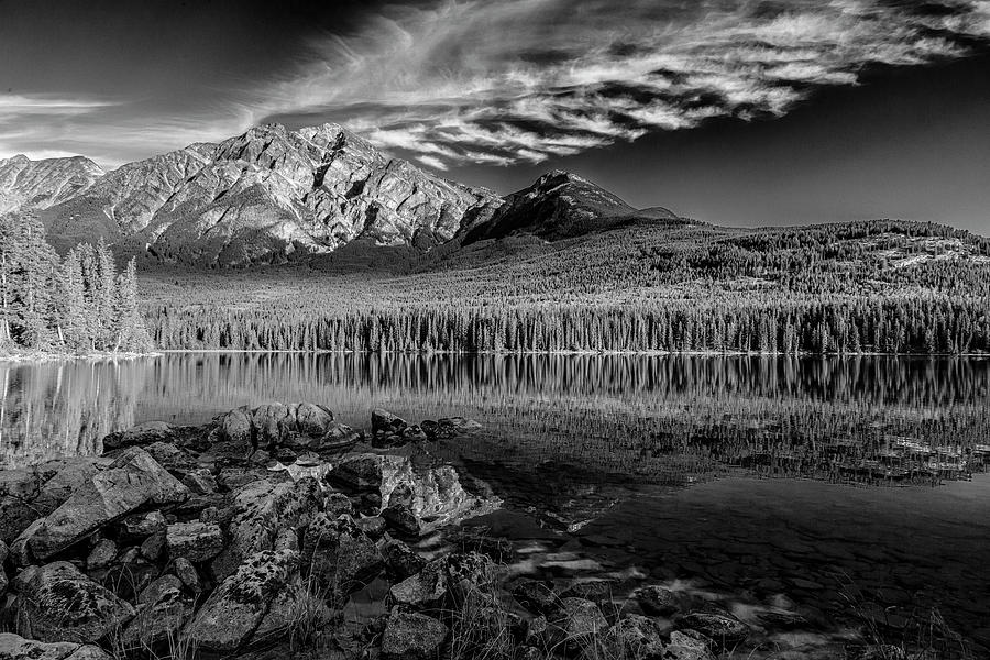 Reflections in Black and White by Ronald Santini Reflections in Black and White by Ronald Santini
