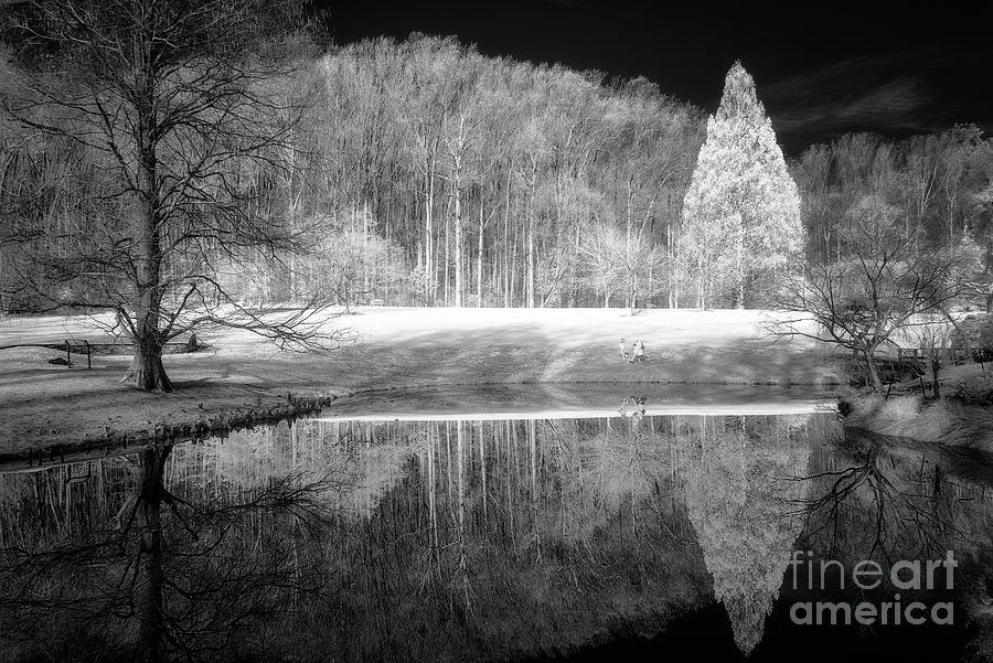 Reflections in infrared Photograph by Izet Kapetanovic