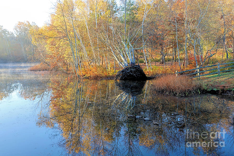 Reflections in Jenney Pond  Photograph by Janice Drew