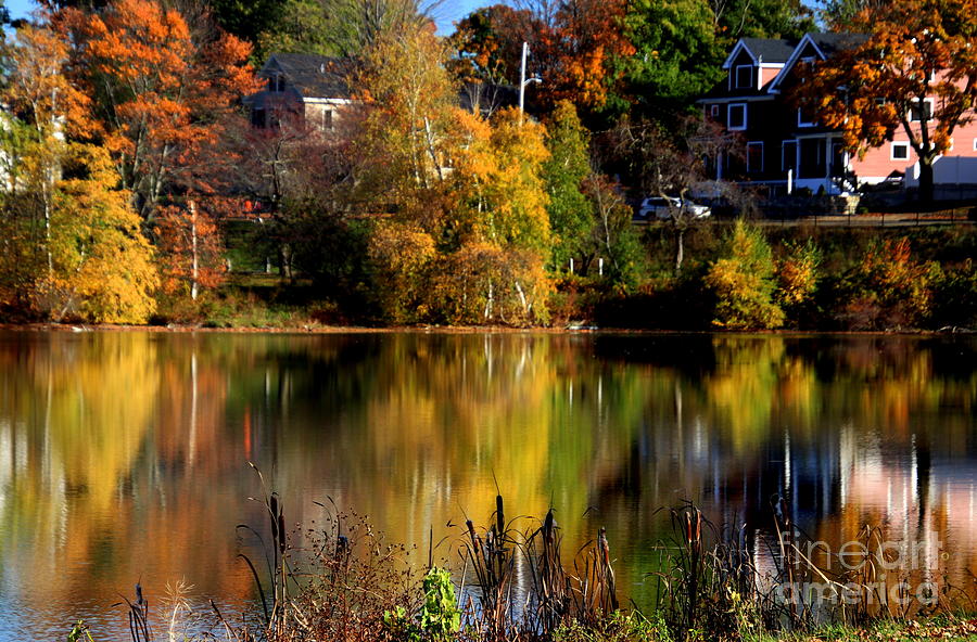 Fall Photograph - Reflections in Lake Quanapowitt by Lennie Malvone