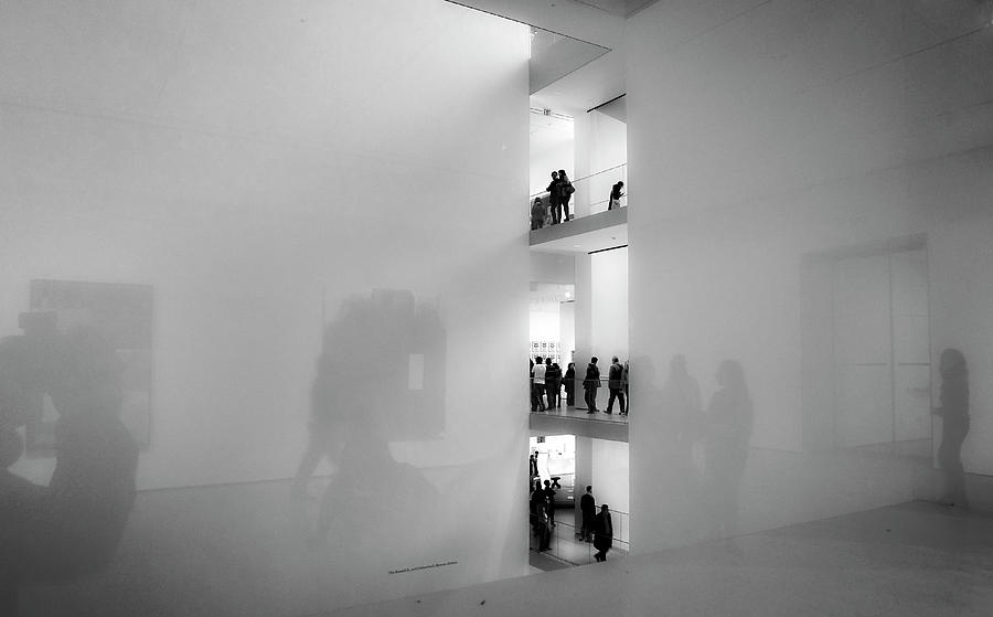Reflections in MOMA Photograph by Frank Winters