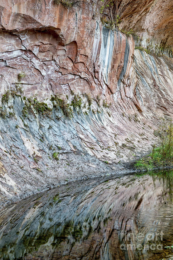 Reflections in Oak Creek Canyon Photograph by Sandra Bronstein