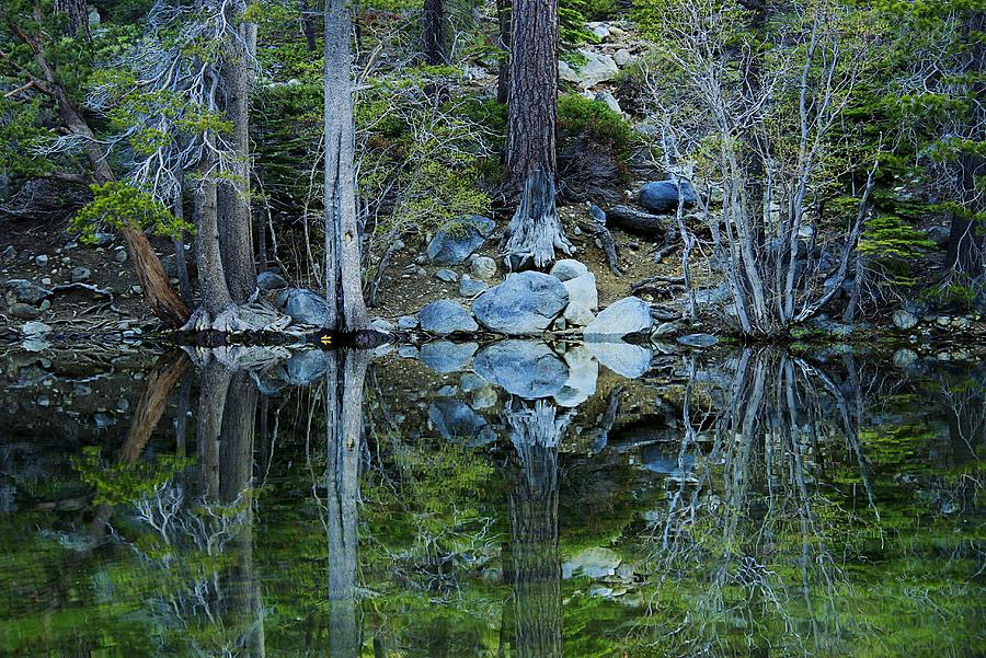 Reflections In Solitude Photograph by Sean Sarsfield
