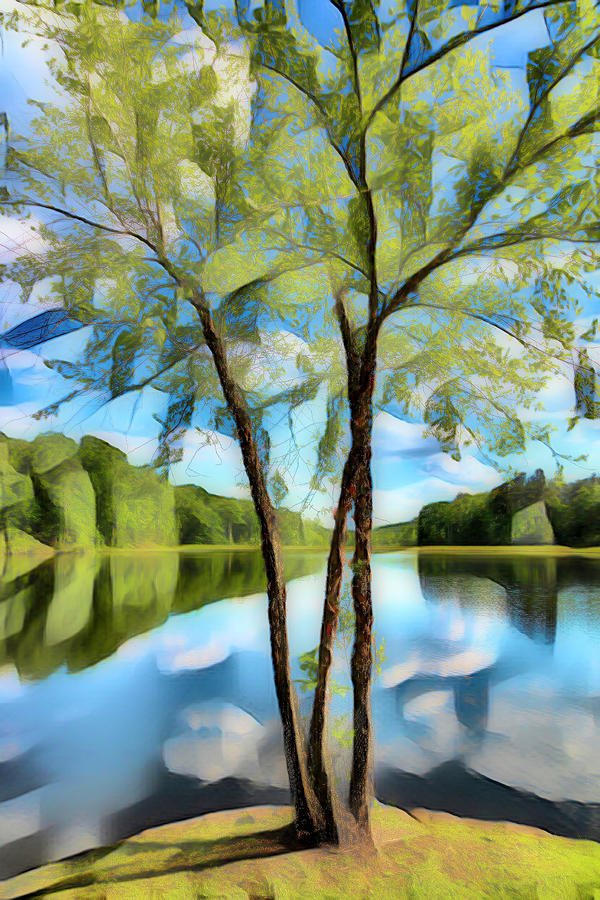 Reflections in Springtime Abstract Painting Photograph by Debra and Dave Vanderlaan
