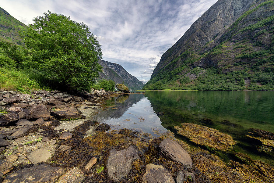 Reflections In The Fjord Photograph