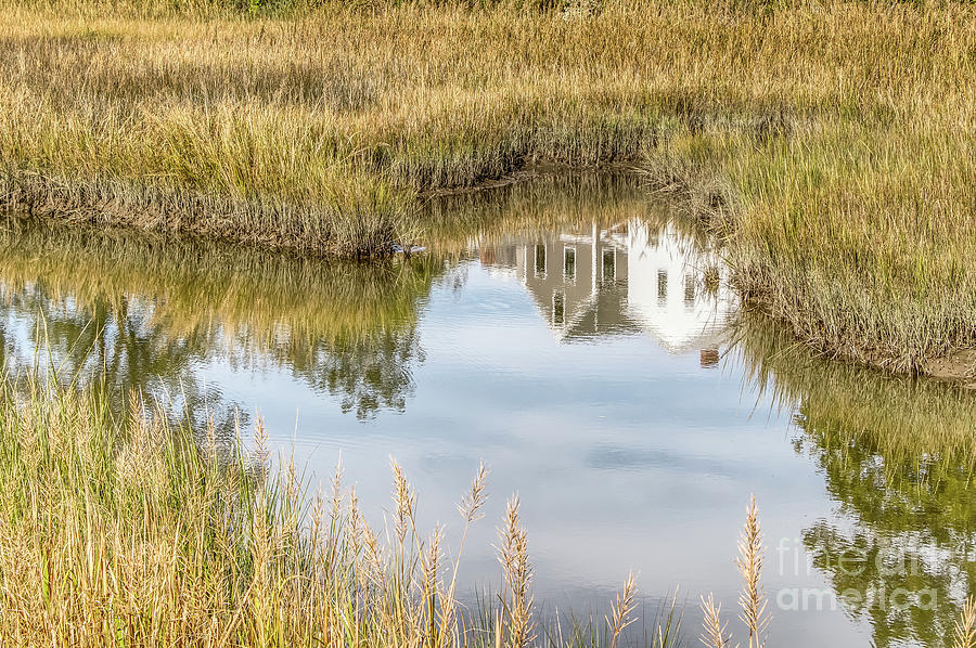 Reflections In The Marsh Photograph