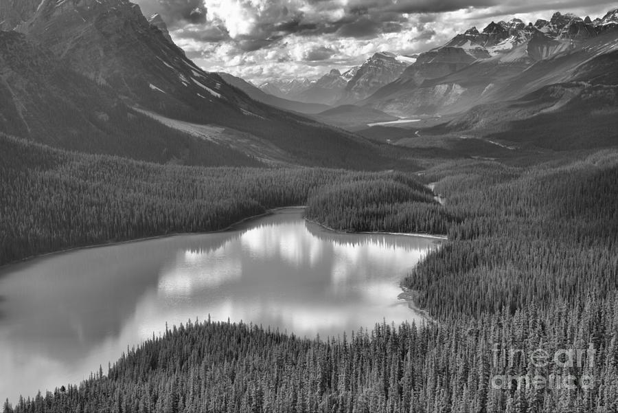 Reflections In The Peyto Lake Valley Black And White Photograph by Adam Jewell
