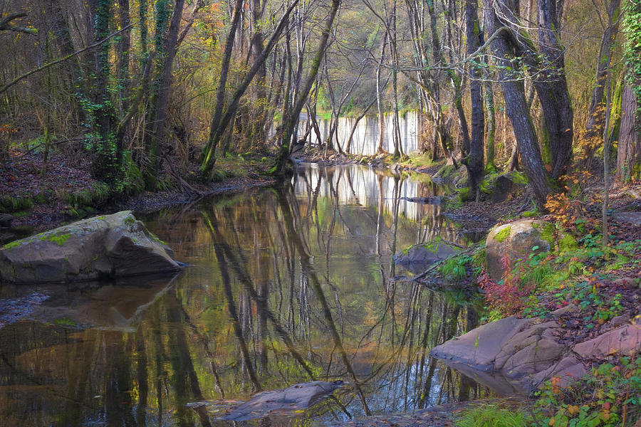 Reflections in the river in the middle of autumn Photograph by Jordi Carrio Jamila