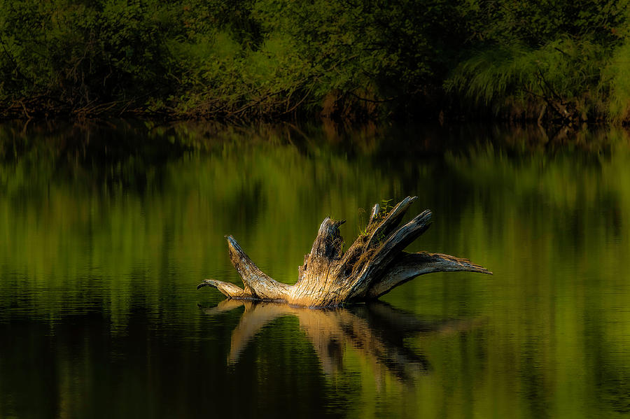 Reflections in the Water Photograph by Don Hoekwater Photography