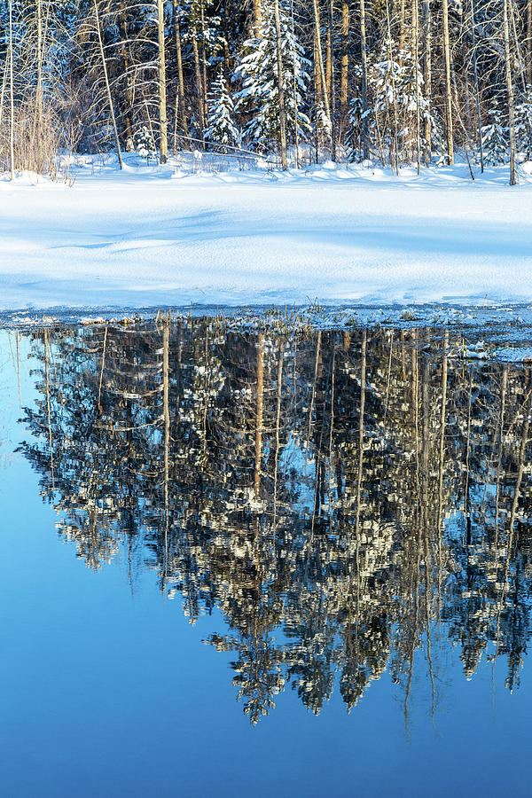 Reflections in the Water by Michael Chatt Reflections in the Water by Michael Chatt