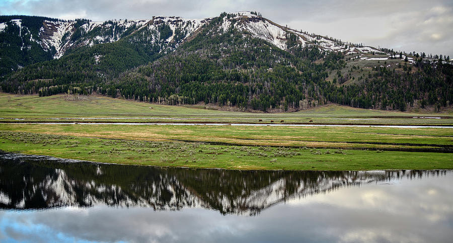 Reflections in Yellowstone Photograph by Paul Freidlund