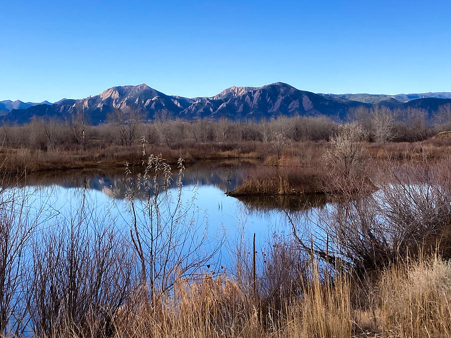 Reflections Photograph by Jennifer Lusk - Fine Art America