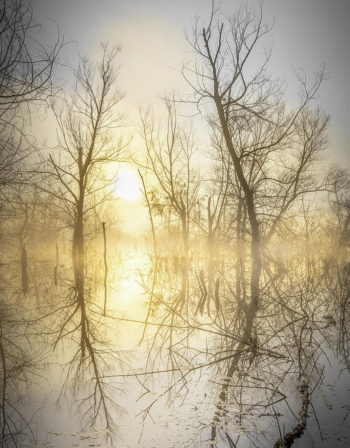 Reflections Photograph by Jordan Hill
